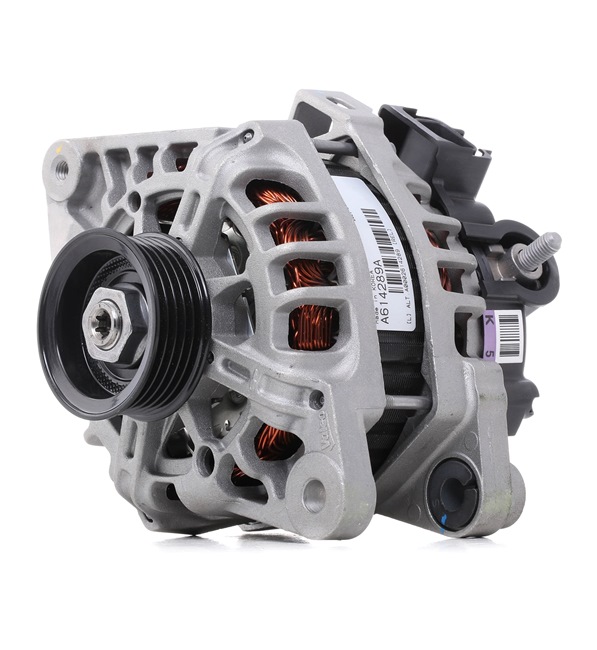Lichtmaschine 443239