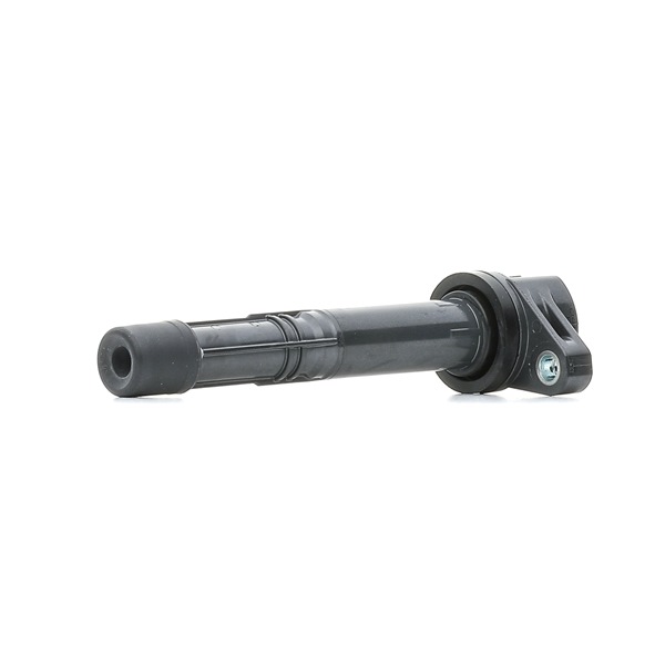 Online Shop für Zündspule von DENSO EAN: 8717613111628