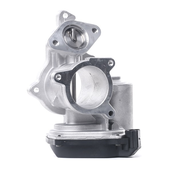 Comprar Válvula EGR de DELPHI EG10404-12B1 a bajo precio de 103,92 €