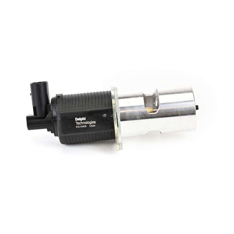 Acquista online DELPHI Valvola EGR Art.: EG10405-12B1