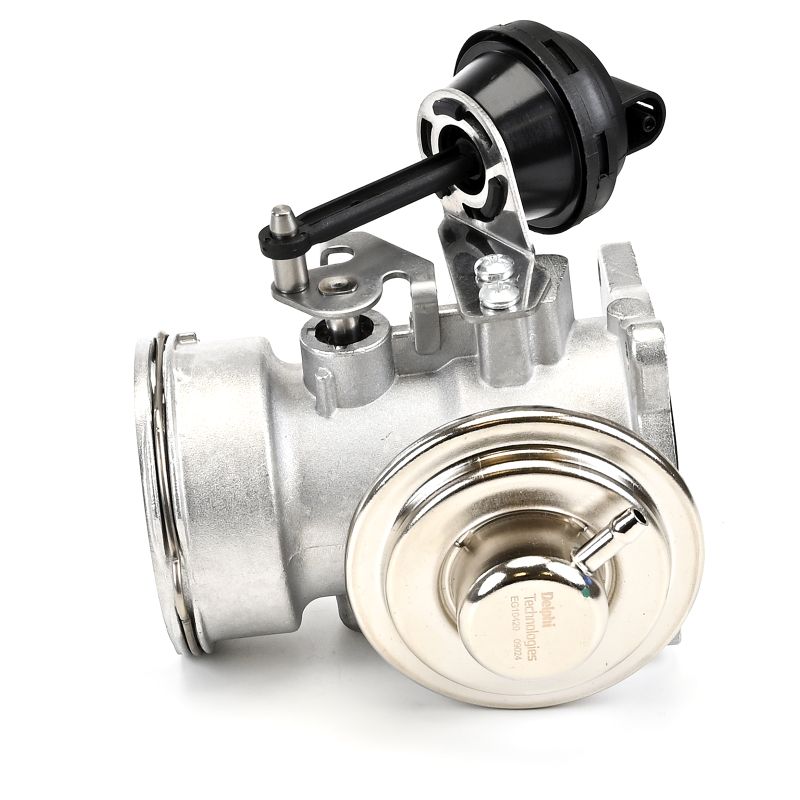 AGR-Ventil EG10420-12B1 von DELPHI günstig für 92,54 € online kaufen