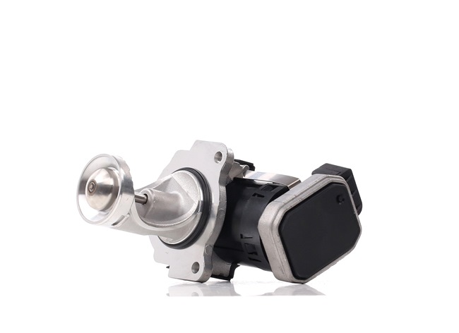 Comprar Válvula EGR de DELPHI EG10431-12B1 a bajo precio de 210,03 €