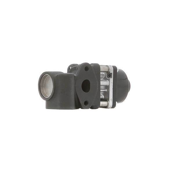 AGR-Ventil von DELPHI EG10454-12B1