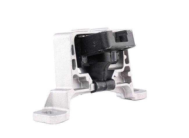 Acquista Supporto motore da DELPHI TEM096 a buon mercato per soli 53,72 €