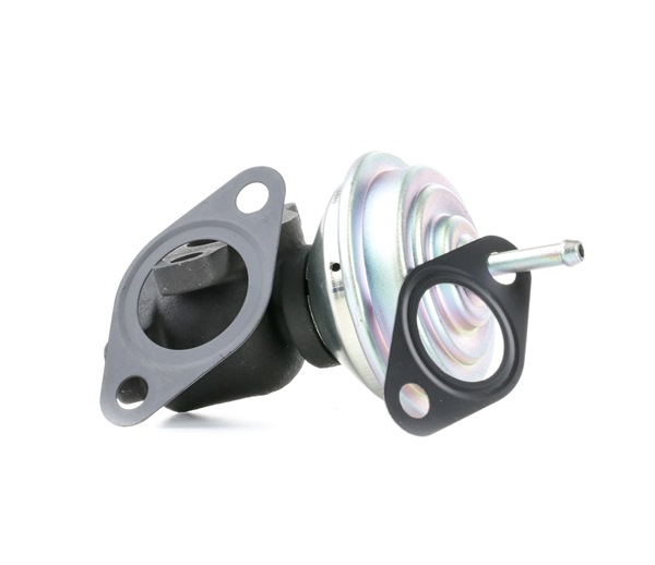 Original MAGNETI MARELLI AGR-Ventil online kaufen