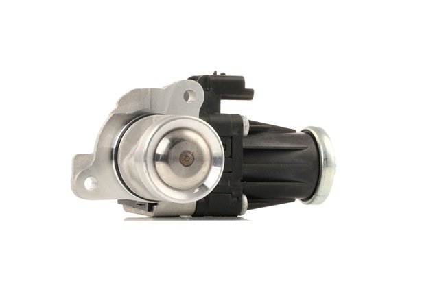 Acquista Valvola EGR da MAGNETI MARELLI 571822112097 a buon mercato per soli 123,74 €