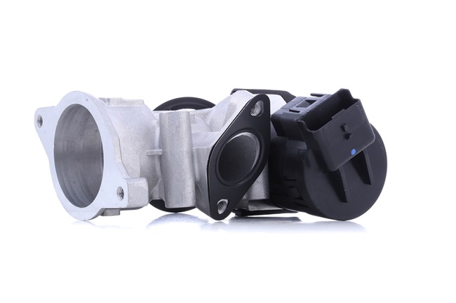 Original MAGNETI MARELLI AGR-Ventil online kaufen