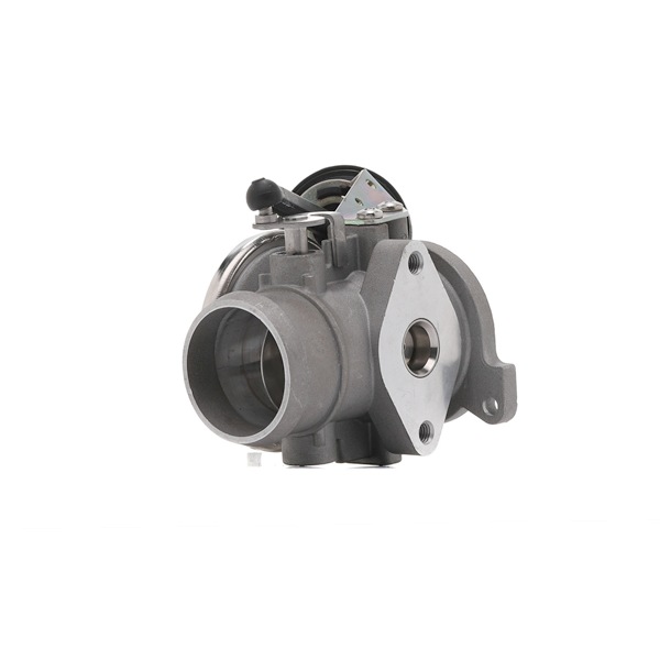 Acquista Valvola EGR da BUGIAD BGR13021 a buon mercato per soli 51,85 €