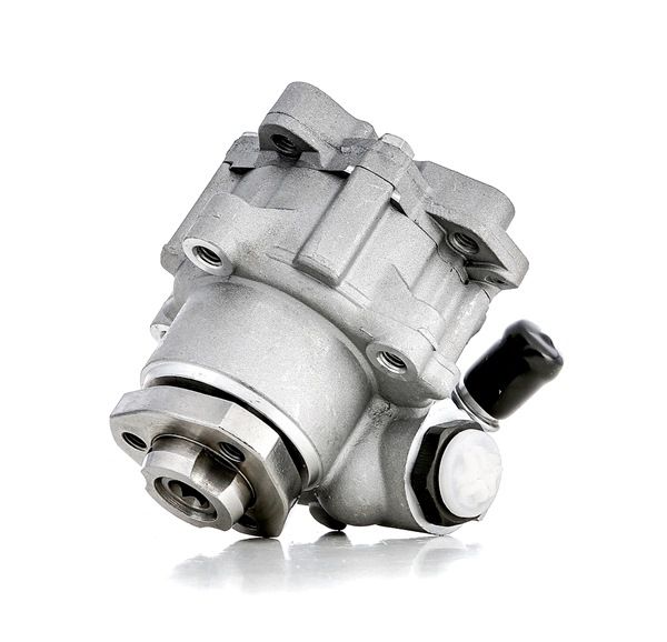 Servopumpe PP195