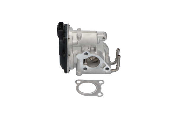 AGR-Ventil EEG-9021 von KAVO PARTS günstig für 227,72 € online kaufen