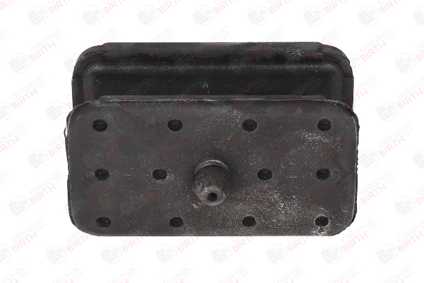 Compre Casquilho de apoio, mola de lâmina da BIRTH 53163 a um preço baixo por 10,56 €