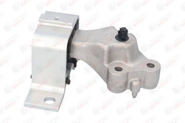 Compre Suporte, motor da BIRTH 53171 a um preço baixo por 59,57 €