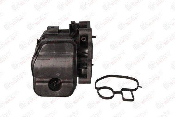 Comprar Válvula EGR de BIRTH 80381 a bajo precio de 135,63 €