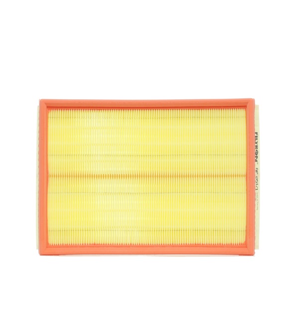 Acquista online FILTRON Filtro aria Art.: AP 051/1