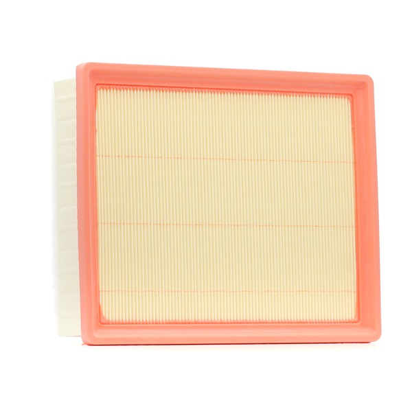 Acquista online FILTRON Filtro aria Art.: AP 137/9