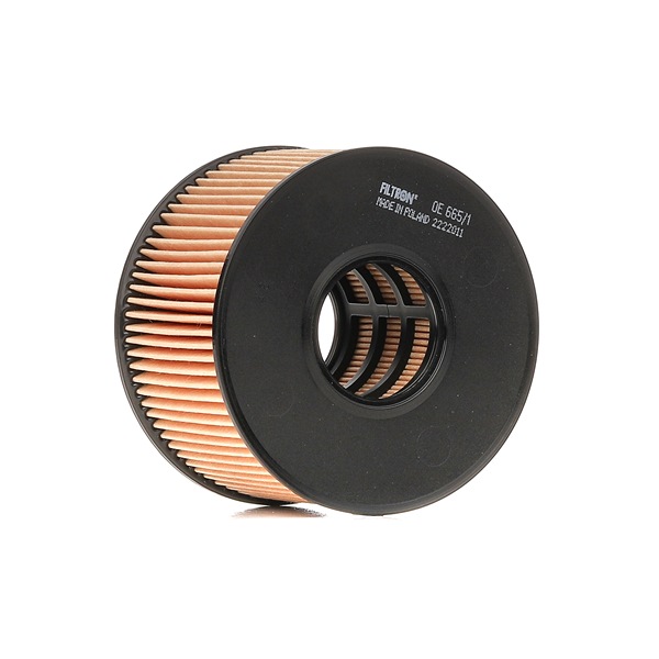 Acquista online FILTRON Filtro olio Art.: OE 665/1