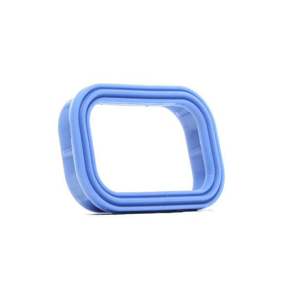 Acquista Guarnizione, Collettore aspirazione da FA1 513-003 a buon mercato per soli 4,68 €