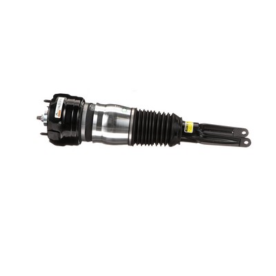 Luftfederbein AS-3036 von Arnott günstig für 1241,32 € online kaufen