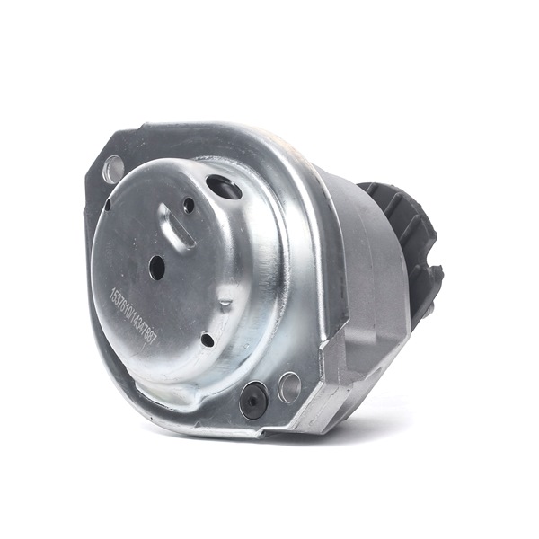 Motorlager 247E0376 von RIDEX günstig für 21,35 € online kaufen