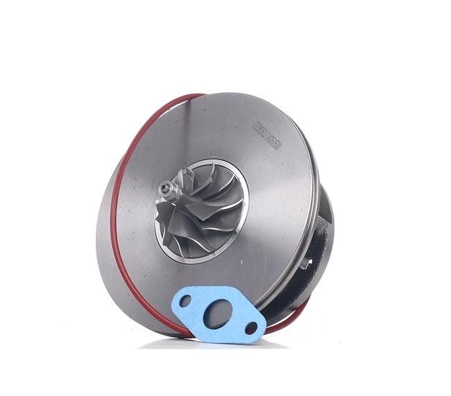 Rumpfgruppe Turbolader 4973C0034 RENAULT Symbol von RIDEX