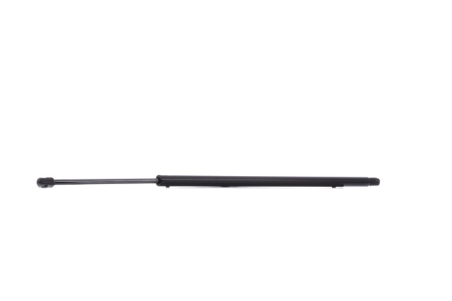 Compre Amortecedor da mala da RIDEX 219G0899 a um preço baixo por 11,31 €