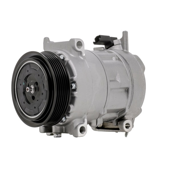 Acquista Compressore aria condizionata da RIDEX 447K0425 a buon mercato per soli 229,86 €