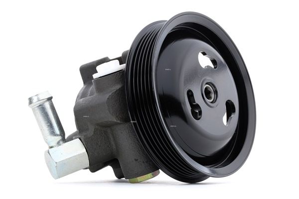 Osta Ohjaustehostimen pumppu RIDEX:llä 12H0132 edullisesti hintaan 311,22 €