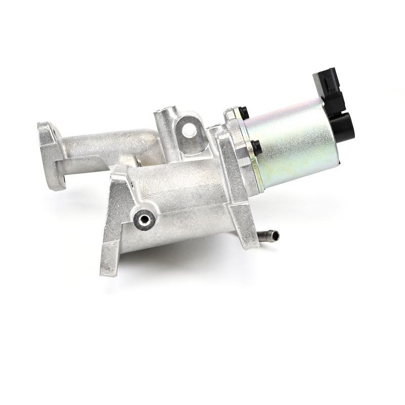 Acquista Valvola EGR da DELPHI EG10460-12B1 a buon mercato per soli 159,74 €