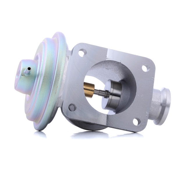 Comprar Válvula EGR de DELPHI EG10464-12B1 a bajo precio de 65,17 €