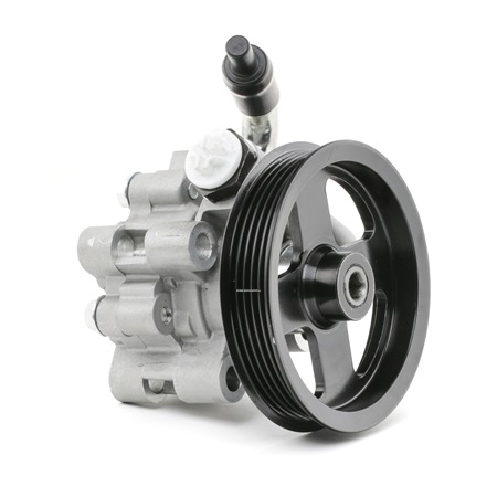 Osta Ohjaustehostimen pumppu STARK:llä SKHP-0540142 edullisesti hintaan 125,01 €