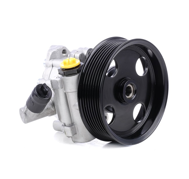 Osta Ohjaustehostimen pumppu RIDEX:llä 12H0154 edullisesti hintaan 156,09 €