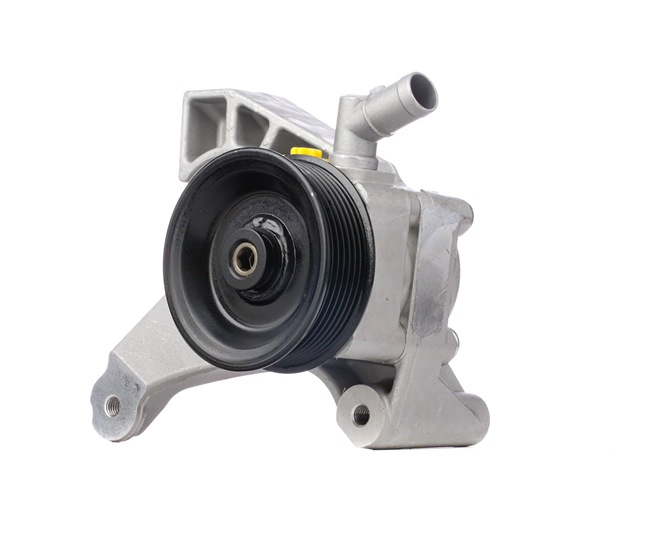 Osta Ohjaustehostimen pumppu RIDEX:llä 12H0160 edullisesti hintaan 189,41 €