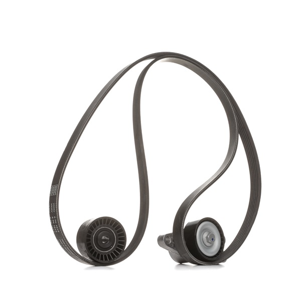 Achetez des Jeu de courroies trapézoïdales à nervures SKF VKMA 33126 à prix pour 68,04 €