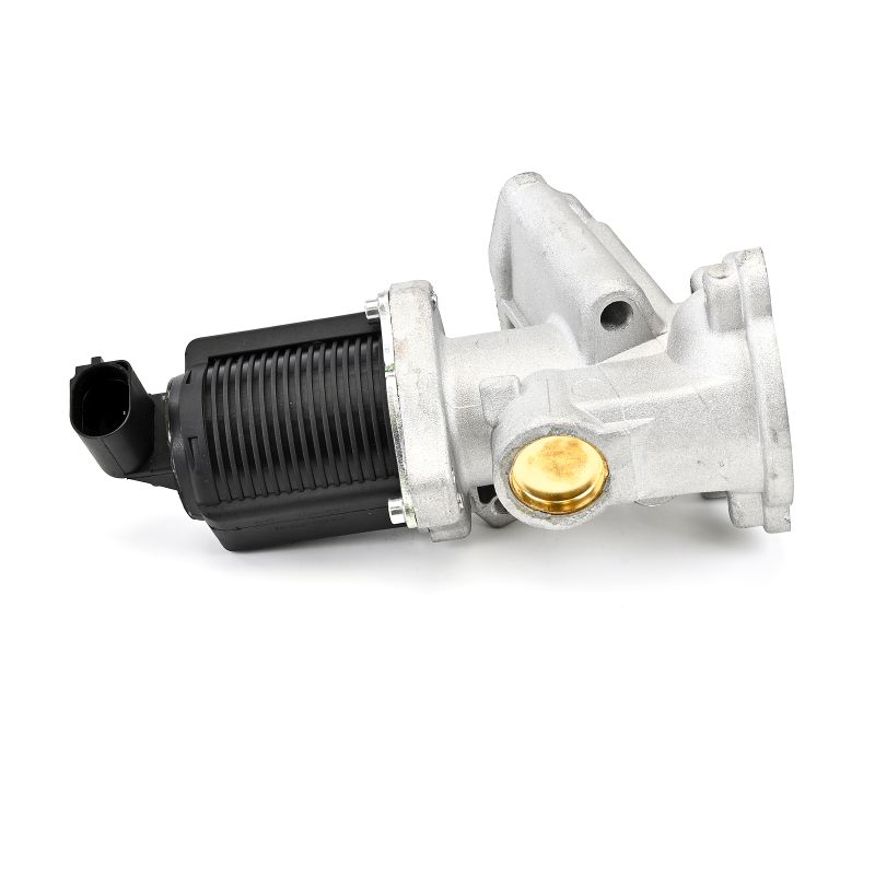 Comprar Válvula EGR de DELPHI EG10477-12B1 a bajo precio de 98,38 €