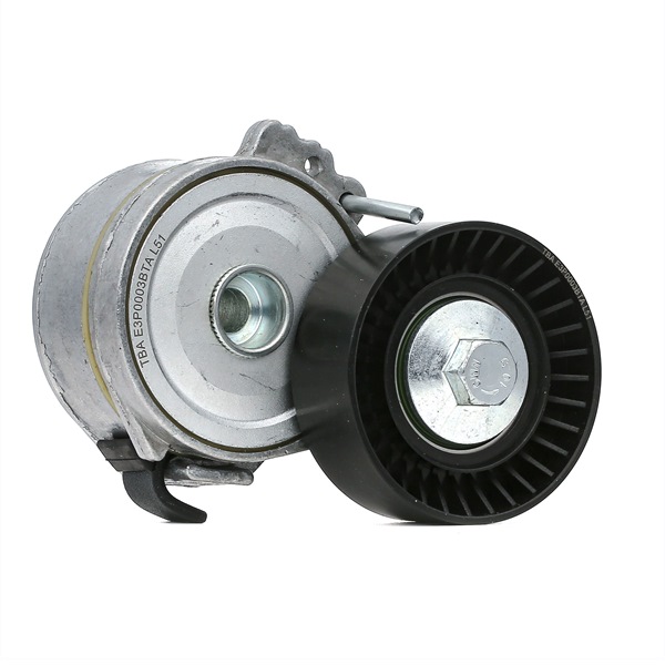 Comprar Brazo tensor, correa poli V de BTA E3P0003BTA a bajo precio de 46,16 €