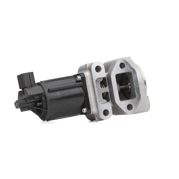 AGR-Ventil EGR-PL-018 von NTY günstig für 153,68 € online kaufen