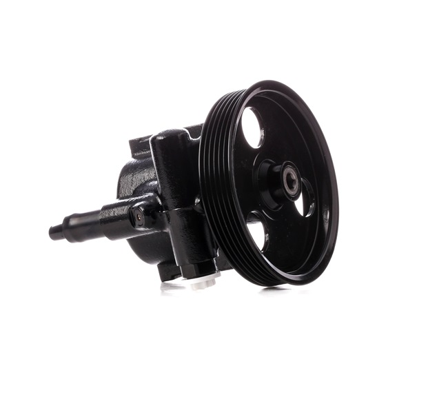 Osta Ohjaustehostimen pumppu RIDEX:llä 12H0191 edullisesti hintaan 197,57 €