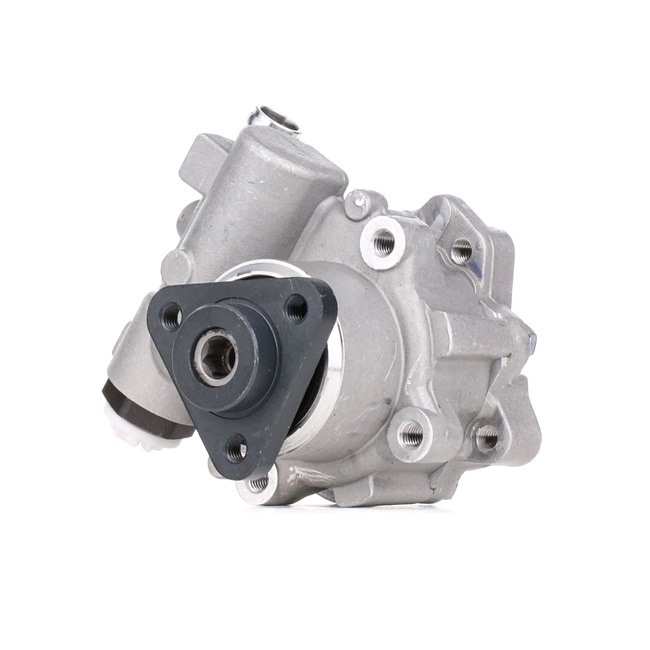 Achetez des Pompe de direction assistée STARK SKHP-0540197 à prix pour 113,84 €