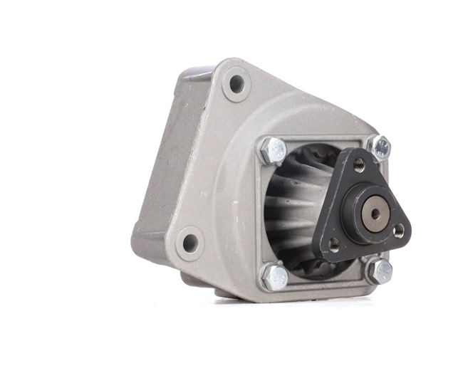 Comprar Bomba de dirección de STARK SKHP-0540200 a bajo precio de 118,94 €