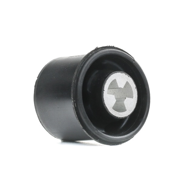 Achskörperlager SKMAB-3350020