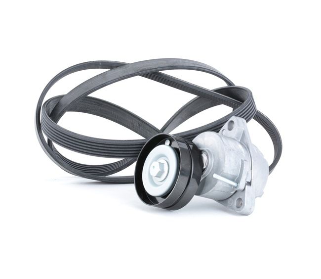 Keilrippenriemensatz von RIDEX für Astra Mk III (F) CC (T92) günstig online kaufen