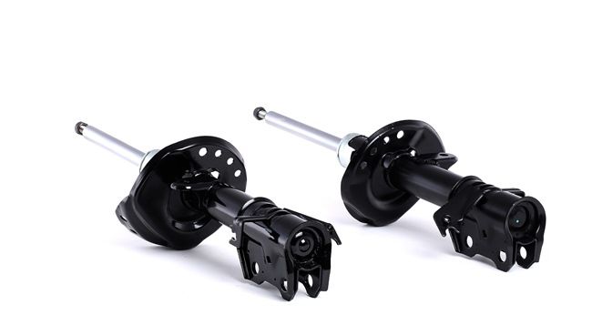 Stoßdämpfer von RIDEX
