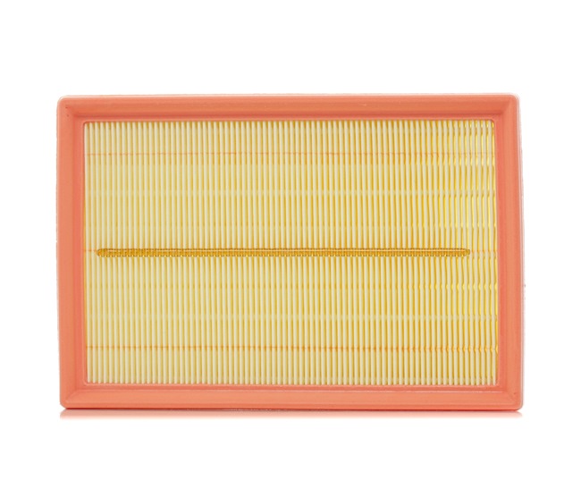 Acquista online FILTRON Filtro aria Art.: AP 074/9