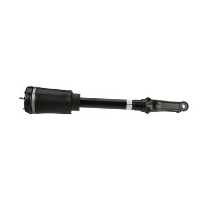 Luftfederbein AS-3058 von Arnott günstig für 618,08 € online kaufen