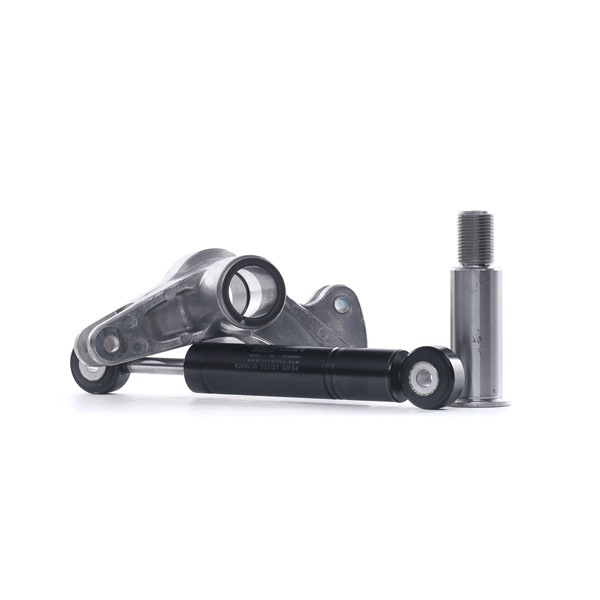 Comprar Brazo tensor, correa poli V de RIDEX 540T0025 a bajo precio de 96,32 €