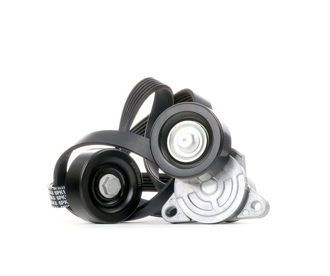 Achetez des Jeu de courroies trapézoïdales à nervures RIDEX 542R0067 à prix pour 75,18 €