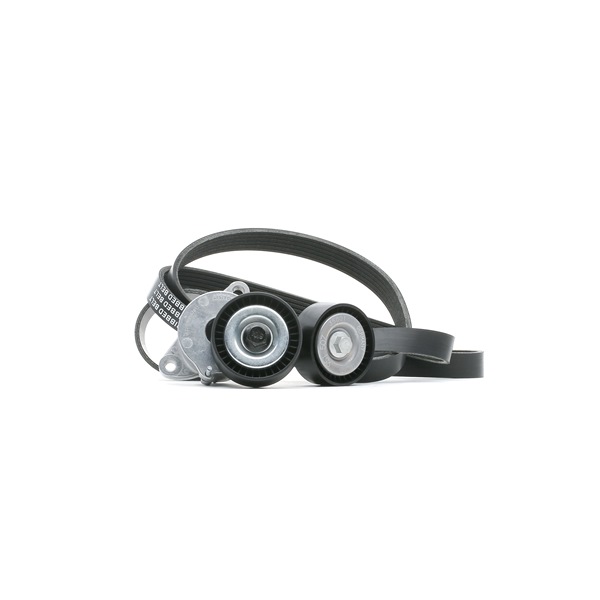 Acquista Kit Cinghie Poly-V da RIDEX 542R0076 a buon mercato per soli 70,49 €