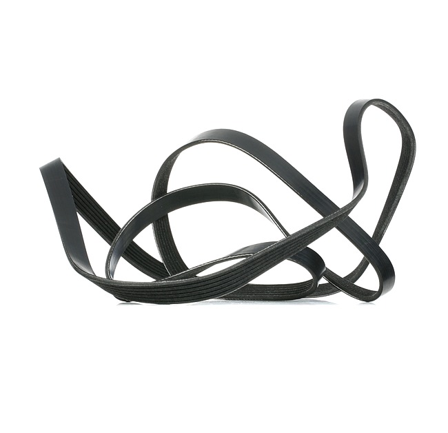 Compre Kit de correa de alternador de RIDEX online para VOYAGER IV (RG, RS) a precios moderados