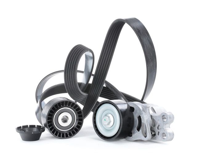 Achetez des Jeu de courroies trapézoïdales à nervures RIDEX 542R0086 à prix pour 71,69 €