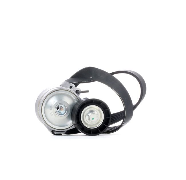 Achetez des Kit de courroie d'accessoire de chez RIDEX en ligne pour Ducato II Camion plate-forme/Châssis (244) à prix modérés